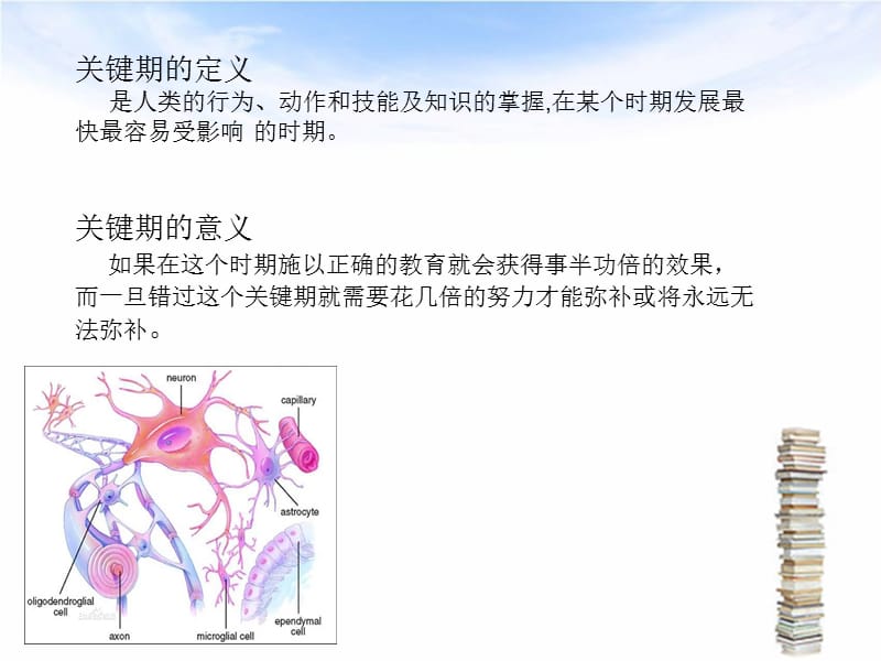 儿童生理发育里程碑.ppt_第3页