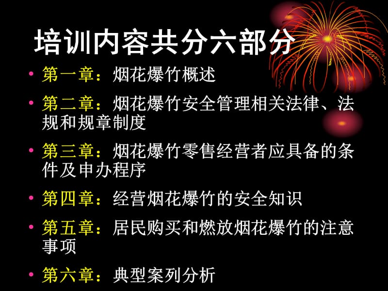 2017年烟花爆竹安全培训.ppt_第2页