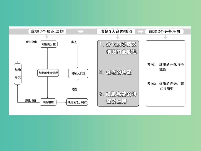 高考生物二轮复习 专题3 第2讲 细胞的分化、衰老、凋亡和癌变课件.ppt_第2页