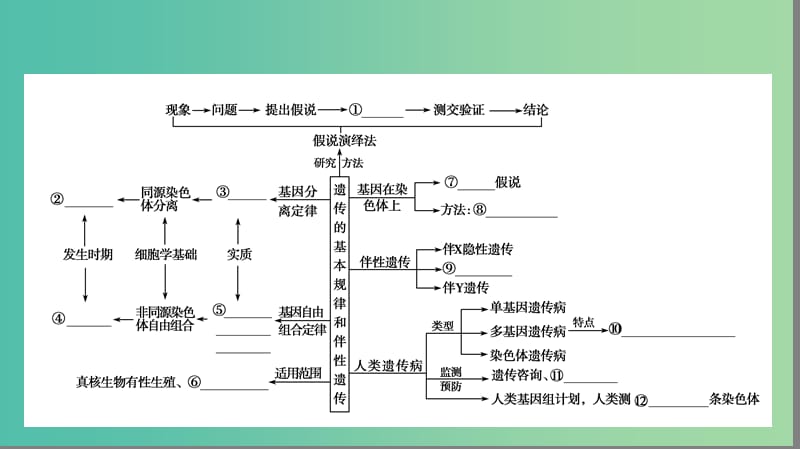 高考生物大二轮专题复习 专题四 遗传、变异和进化 4.2 遗传的基本规律和伴性遗传课件.ppt_第3页