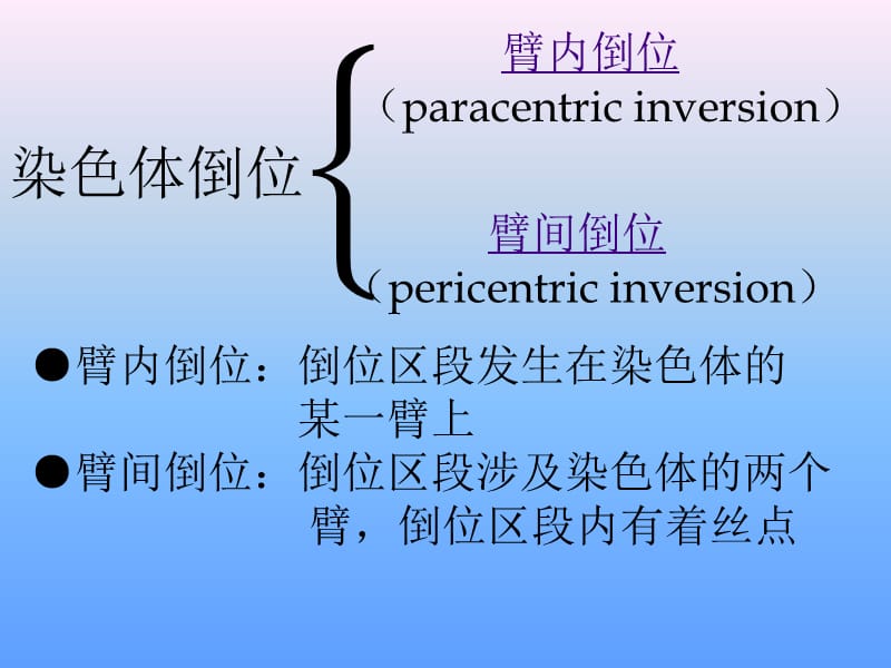 染色体倒位与倒位环.ppt_第3页