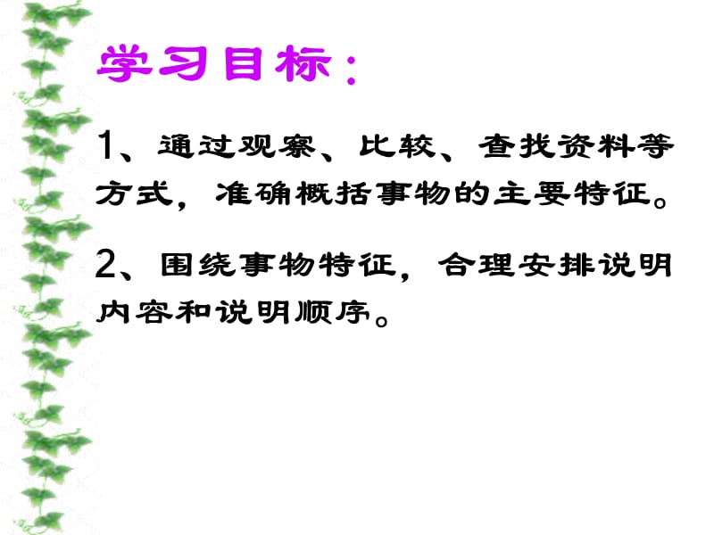 说明要抓住事物特征.ppt_第2页