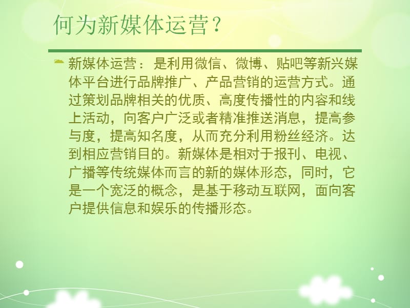 《新媒体运营方案》PPT课件.ppt_第2页