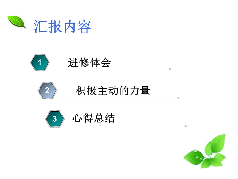 《护士进修心得》PPT课件.ppt_第2页