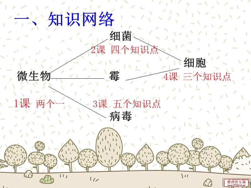 苏教版六年级上册科学第一单元复习提纲.ppt_第3页