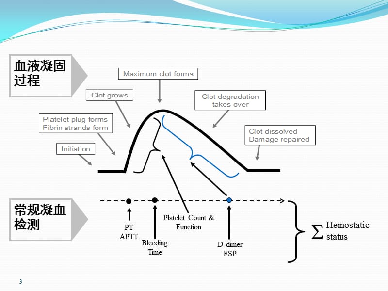 《TEG血栓弹力》PPT课件.ppt_第3页