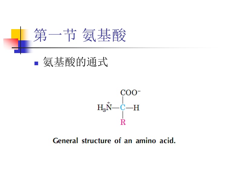 生物化学第二章蛋白质化学.ppt_第2页