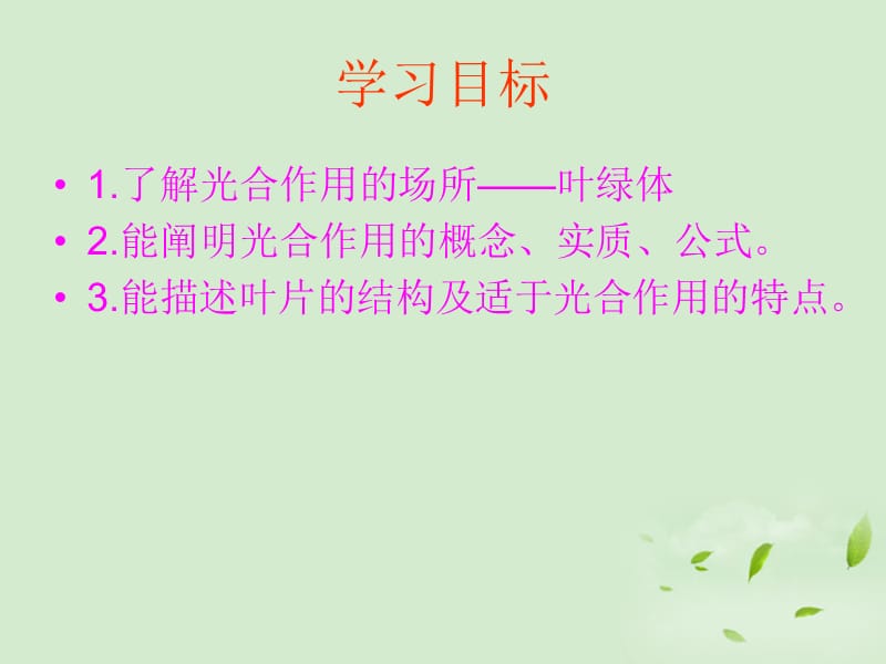 《光合作用的场所》PPT课件.ppt_第3页