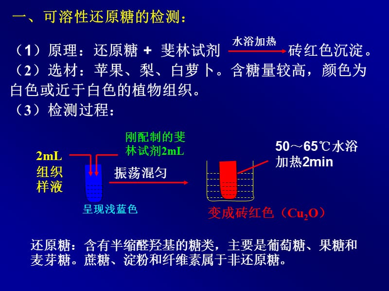 高中生物检测生物组织中的糖类、脂肪和蛋白质.ppt_第3页