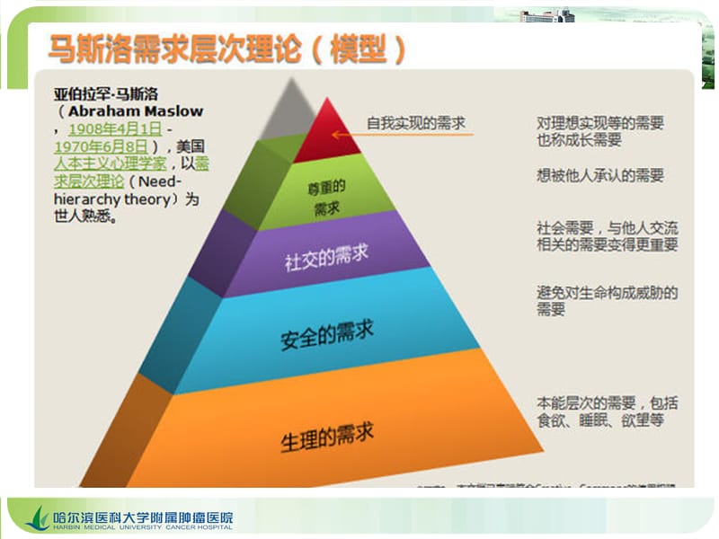 肺癌的CT影像诊断.ppt_第3页