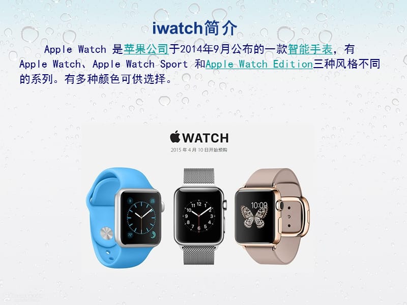 iwatch营销计划书.ppt_第2页