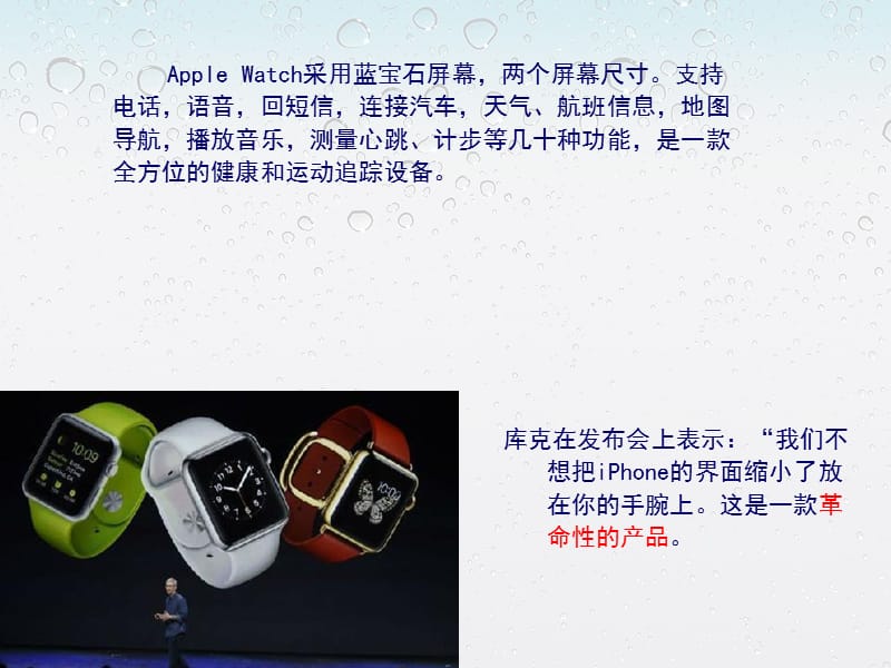 iwatch营销计划书.ppt_第3页