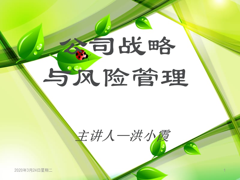 《公司战略与风险管理》.ppt_第1页