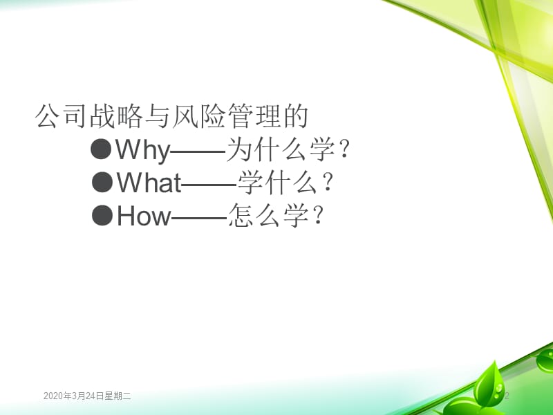 《公司战略与风险管理》.ppt_第2页