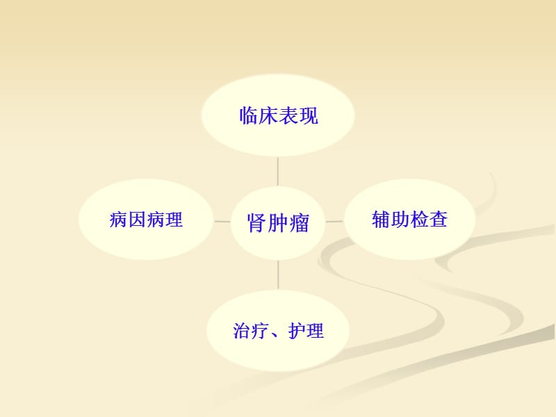 肾肿瘤的治疗与护理.ppt_第3页