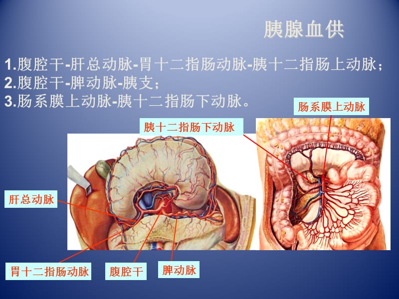 胰腺肿瘤影像学诊断.ppt_第3页