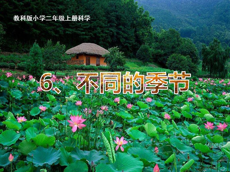 教科版二年级上册一、6、不同的季节.ppt_第1页