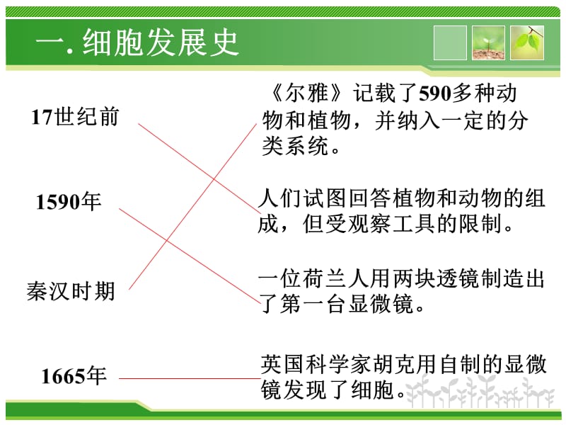 生物科技PPT模板.ppt_第3页