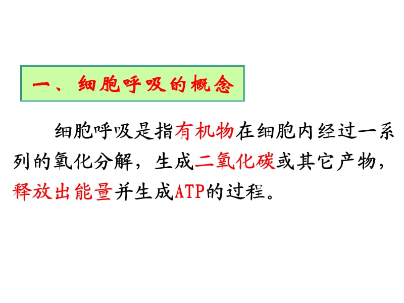 《ATP的主要来源-细胞呼吸》.ppt_第3页