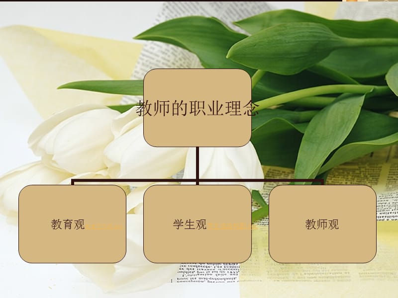 《教师观概念》PPT课件.ppt_第1页