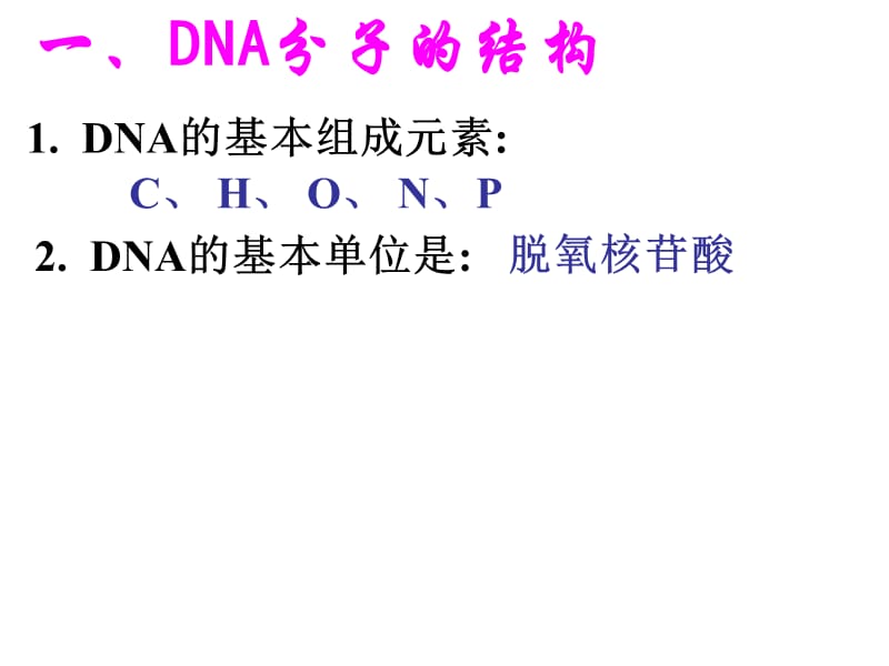 DNA分子的结构和复制及相关计算.ppt_第2页