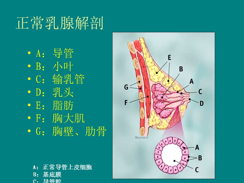 乳腺超声 (1)_第3页