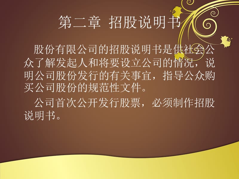 《招股说明书》PPT课件.ppt_第3页