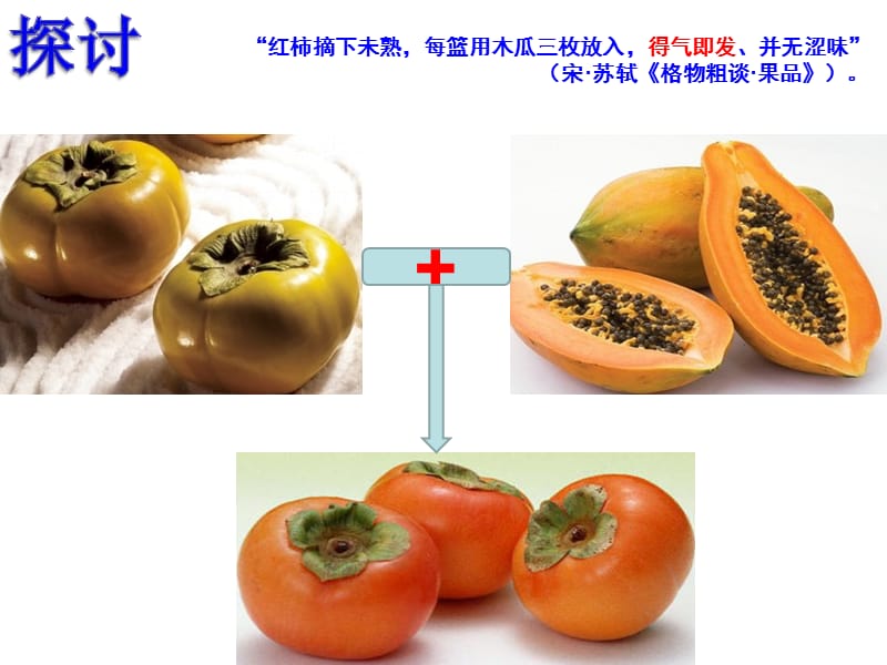 生物必修三第三章第三节植物其他激素.ppt_第2页