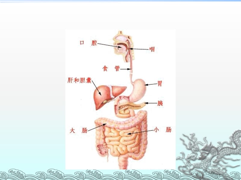 上消化道出血讲课ppt课件_第3页