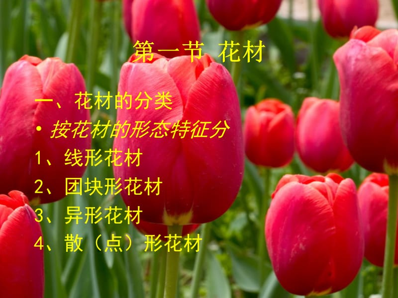 插花艺术基本知识.ppt_第2页