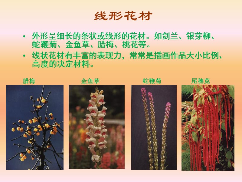 插花艺术基本知识.ppt_第3页