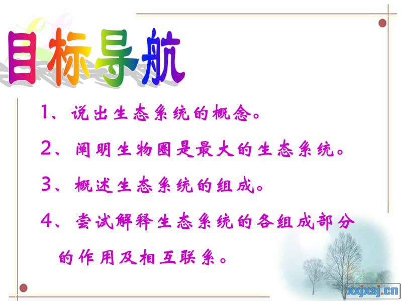 《生态系统的组成》PPT课件.ppt_第2页