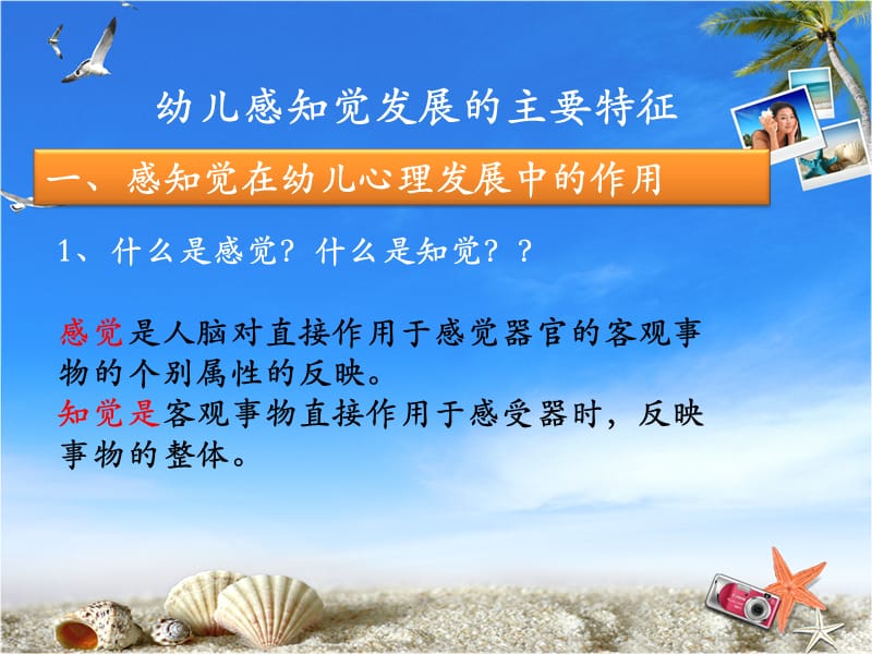 《幼儿的感知觉》PPT课件.ppt_第3页