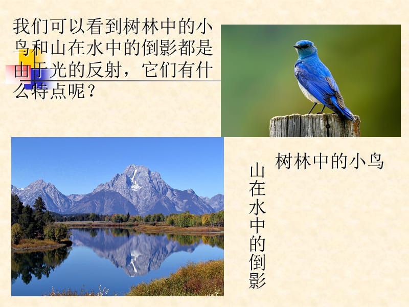 《探究光的反射规律》.ppt_第3页