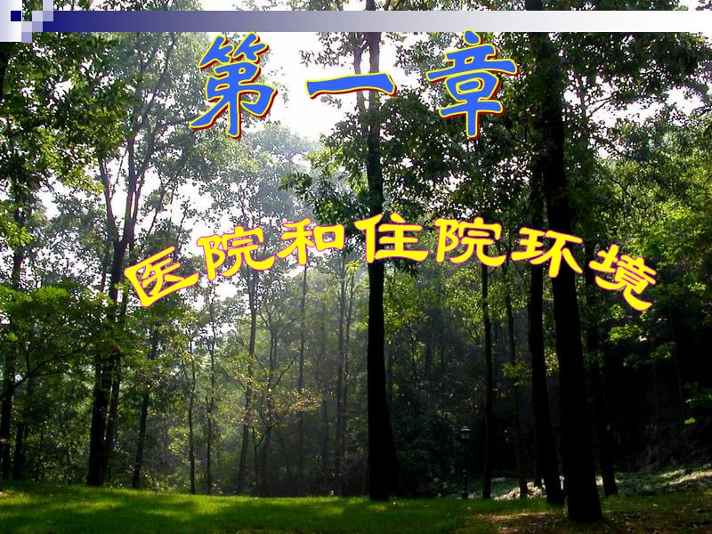 《医院和住院环境》PPT课件.ppt_第1页