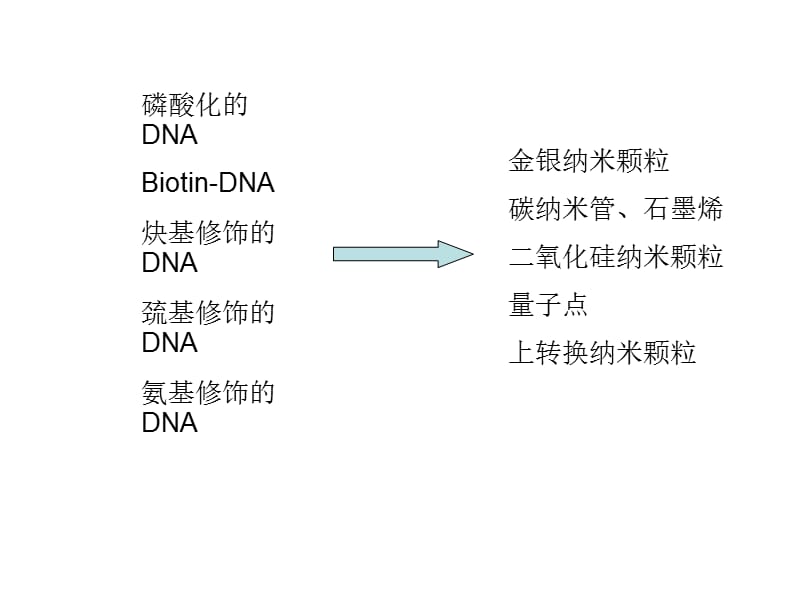 DNA固定在纳米颗粒表面的方法.ppt_第1页