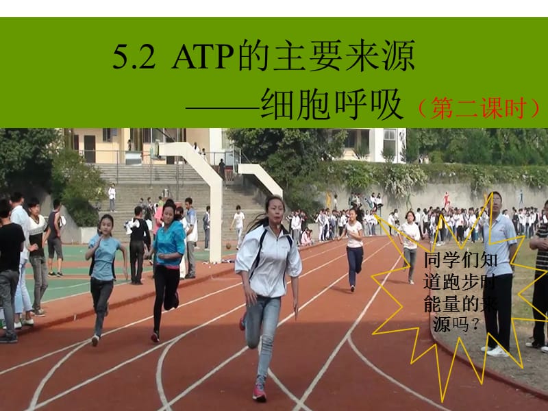 《公开课细胞呼吸》PPT课件.ppt_第1页