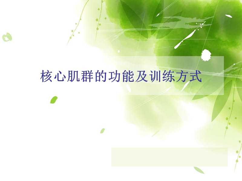 核心肌群的功能及训练方式.ppt_第1页