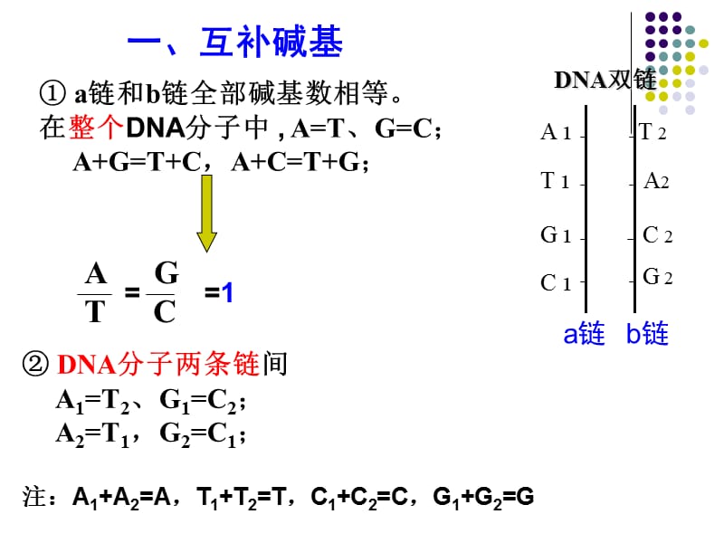 高一生物必修二有关DNA中碱基计算专题.ppt_第3页