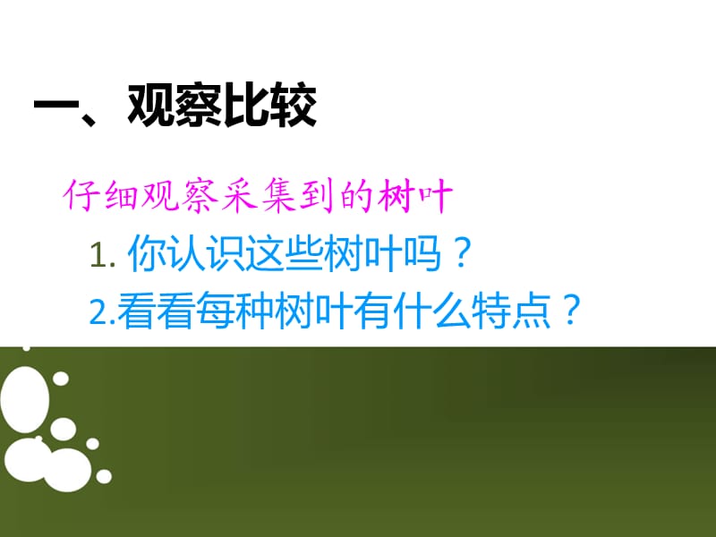 《树叶中的比》PPT课件.ppt_第2页