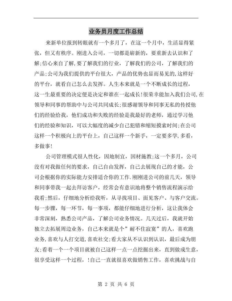 业务员月度工作总结.doc_第2页