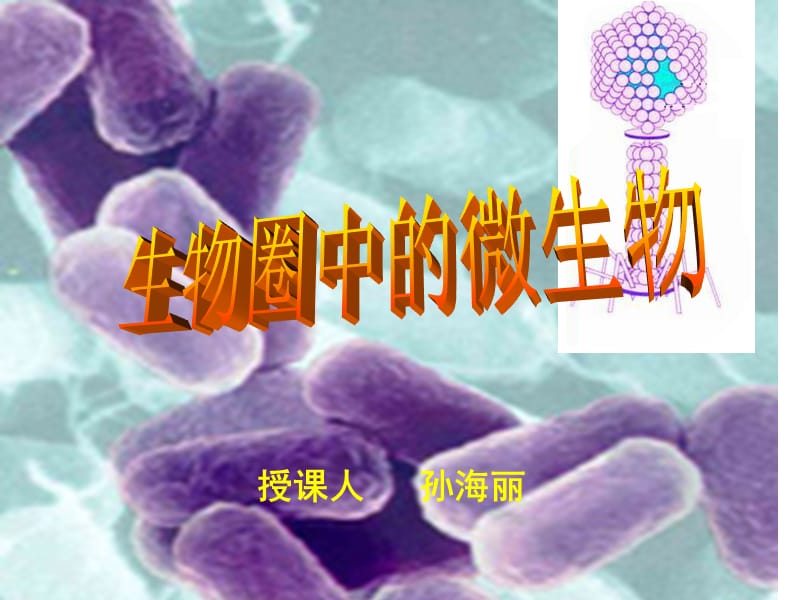 生物圈中的微生物.ppt_第2页