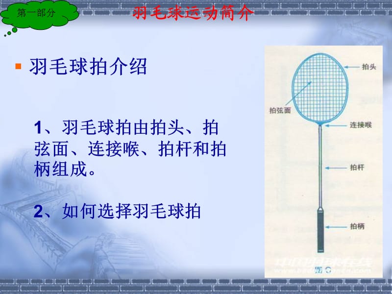 羽毛球竞赛规则及裁判有图详细.ppt_第3页