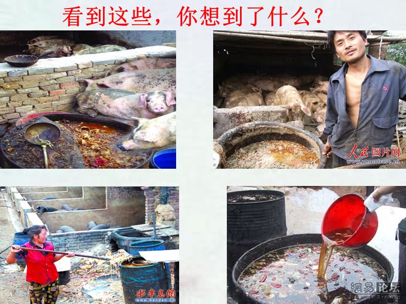 “节约每一粒粮食-反对浪费”主题班会ppt.ppt_第3页