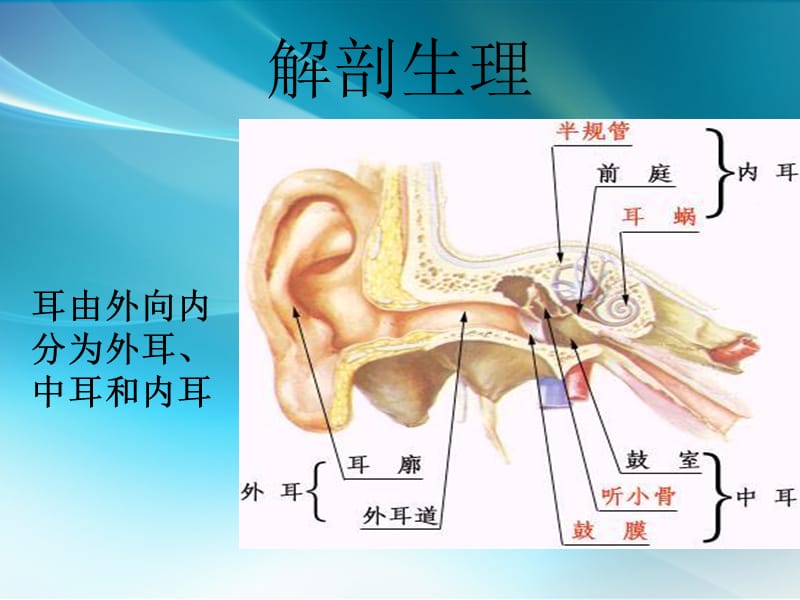 慢性中耳炎_第3页