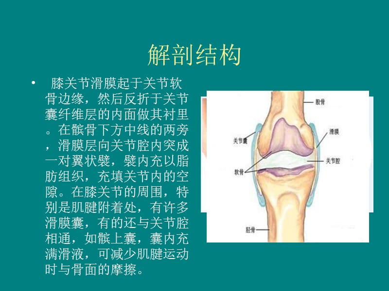 膝关节创伤性滑膜炎PPT课件_第3页