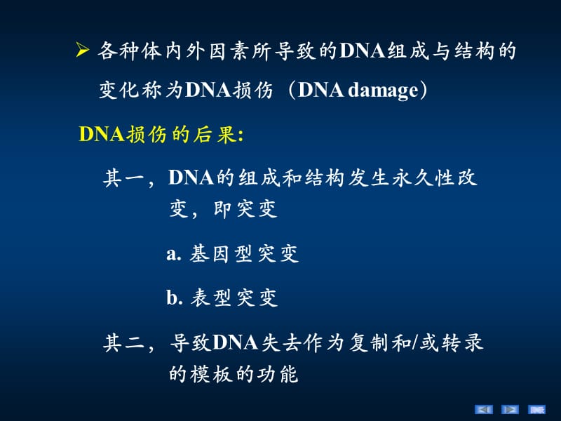 《DNA损伤与修复》PPT课件.ppt_第2页