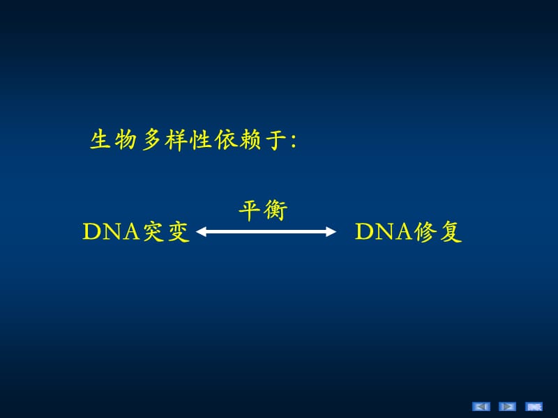 《DNA损伤与修复》PPT课件.ppt_第3页