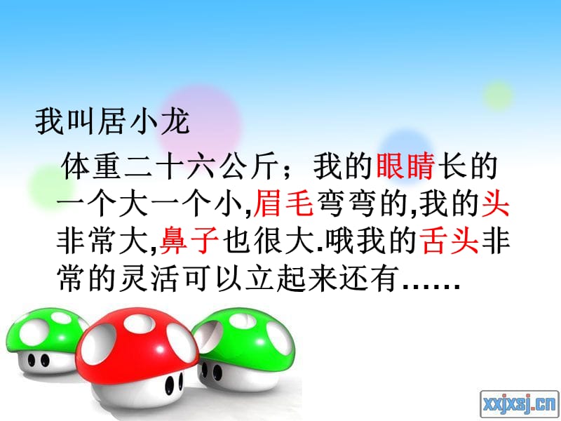 小学一年级科技《我的自画像》.ppt_第1页