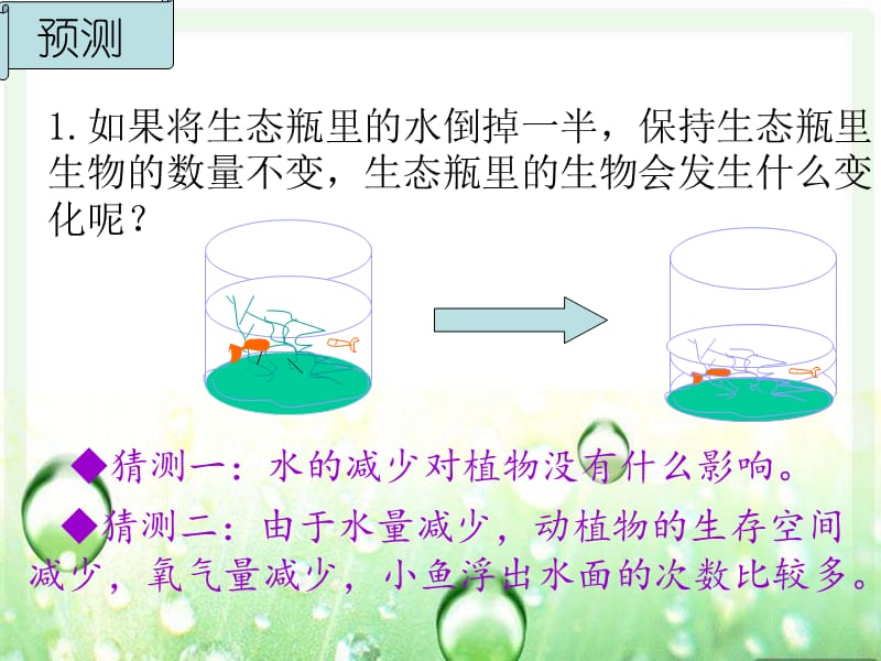 《改变生态瓶》PPT课件.ppt_第3页